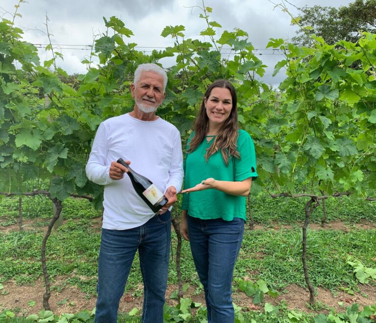Vinícola Maturano e Fattoria 